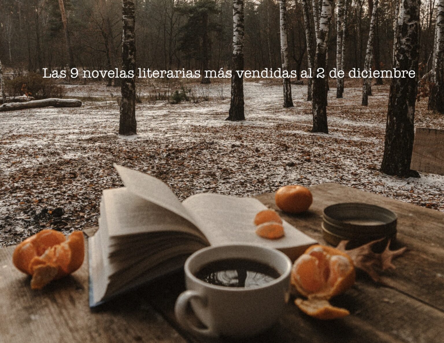 Las Novelas Literarias M S Vendidas Al De Diciembre El Placer De