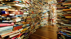 proyecto laberinto de libros