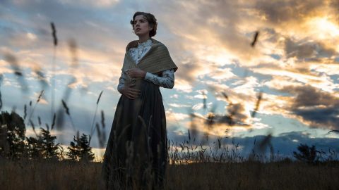 20 Libros de película para este verano