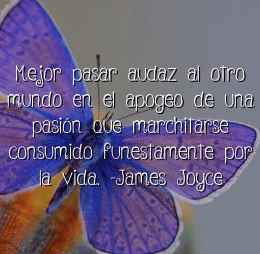 Cita de James Joyce
