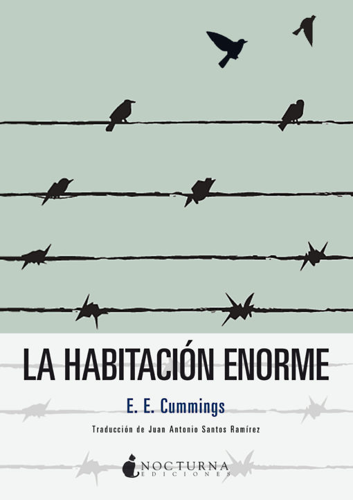 La novela del gran poeta E. E. Cummings sobre su cautiverio en la Primera Guerra Mundial, una defensa de la libertad