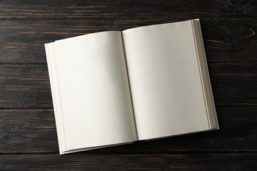 10 autores famosos por 1 único libro