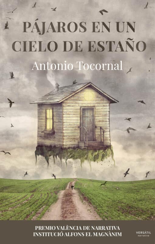 Pájaros en un cielo de estaño de Antonio Tocornal