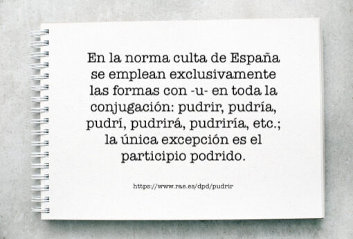 Ortografía: ¿Se dice «podrir» o «pudrir», «pudrido» o «podrido»?