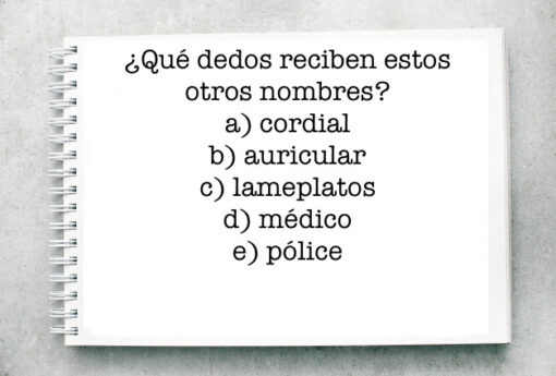¿Qué dedos reciben estos otros nombres?