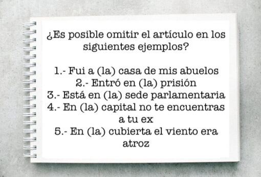 ¿Es posible omitir el artículo en los siguientes ejemplos?