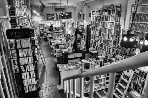 Comienza septiembre: Descubre 13 maravillosas novedades de este mes