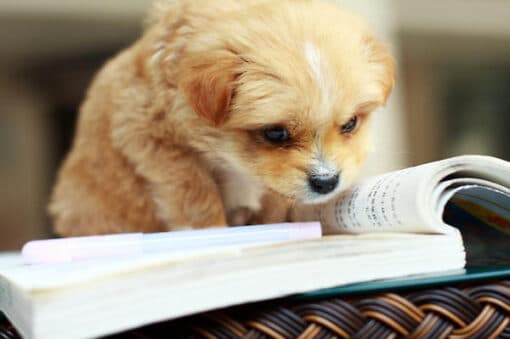 Los 11 libros de todos los géneros más vendidos al 5 de septiembre
