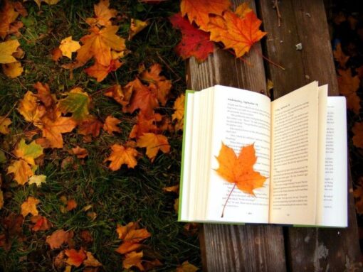 Octubre en 10 libros imperdibles, Murakami incluido