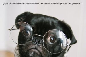 Aquí tienes los 8 libros deberían leerse las personas inteligentes del planeta