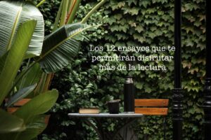 Los 12 ensayos para disfrutar más de la lectura