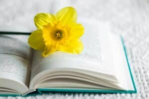 Los 7 libros recomendados de la semana para lectores selectos