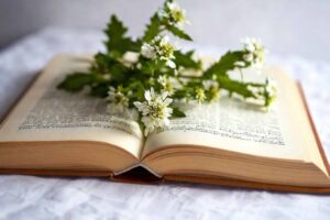 Las 11 novelas literarias más vendidas al 30 de mayo