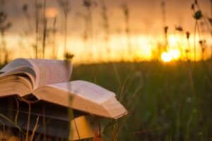 Los 7 libros recomendados de la semana