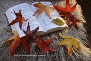 Los 7 libros recomendados de la semana