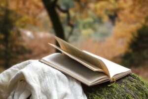 Las 11 novelas literarias más vendidas al 10 de octubre