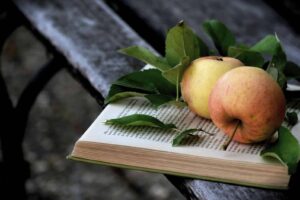 Los 6 libros recomendados de la semana