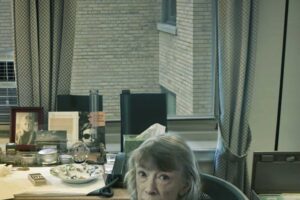 Los que dice el New York times de este diarios «Uno de los estilos literarios más reconocibles y brillantes que ha surgido en Estados Unidos durante las últimas cuatro décadas […] Didion es una de las grandes escritoras estadounidenses».